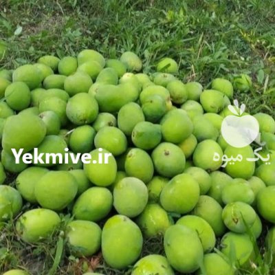 انبه کال برای ترشی در اصفهان در گروه خرید و فروش انبه در یکمیوه -عکس1