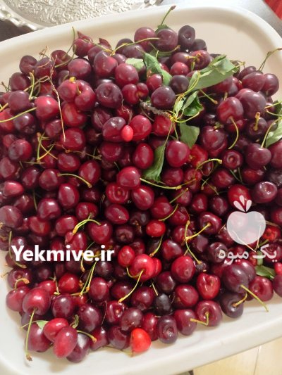 گیلاس تکدانه درشت شیرین در تهران در گروه خرید و فروش گیلاس در یکمیوه -عکس3