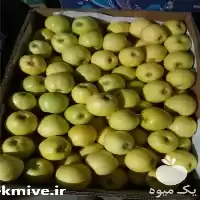 فروش سیب زرد درختی فریدن در اصفهان در گروه خرید و فروش سیب در یکمیوه