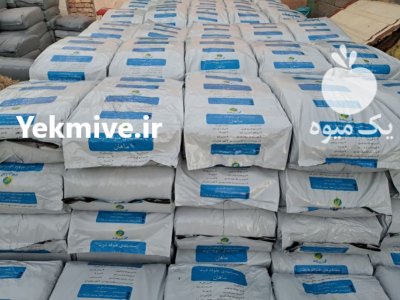 علوفه ذرت بسته بندی در کرمان در ماهان در گروه خرید و فروش ذرت در یکمیوه -عکس1