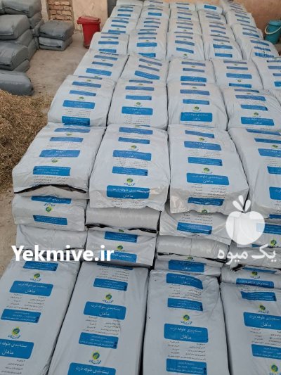 علوفه ذرت بسته بندی در کرمان در ماهان در گروه خرید و فروش ذرت در یکمیوه -عکس2