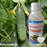 فروش عرضه سم قارچ کش در تهران در گروه خرید و فروش انواع سم در یکمیوه