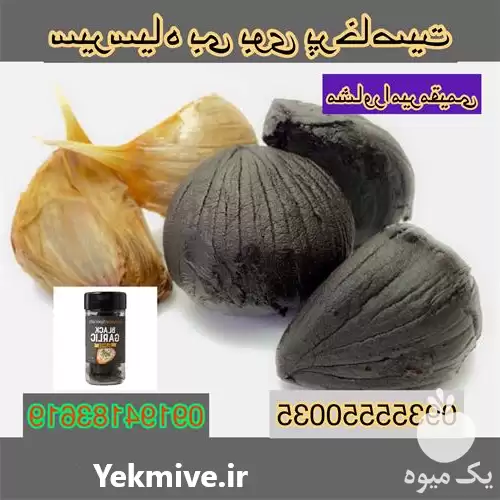 قیمت خرید سیر سیاه در کرمان  در گروه خرید و فروش سیر در یکمیوه -عکس1