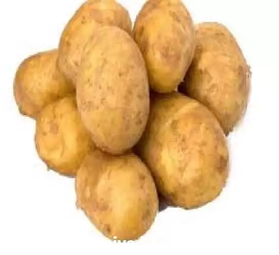 سیب زمینی بذری سیب زمینی در گروه خرید و فروش سیب زمینی در یکمیوه -عکس1