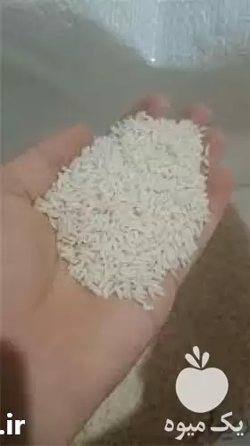 قیمت خرید برنج با قیمت ارزان در مشهد در گروه خرید و فروش برنج در یکمیوه -عکس1