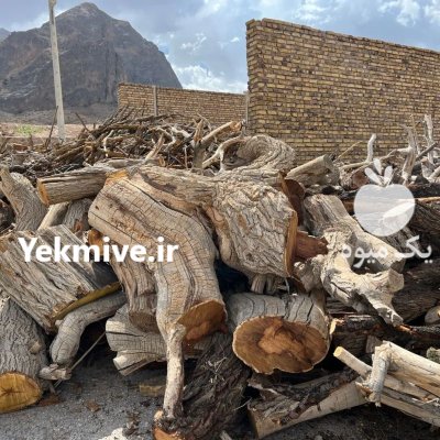 فروش چوب ذغالی توت انار بادام در نوش آباد در گروه خرید و فروش انواع چوب در یکمیوه -عکس1