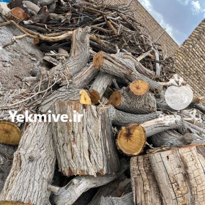فروش چوب ذغالی توت انار بادام در نوش آباد در گروه خرید و فروش انواع چوب در یکمیوه -عکس2
