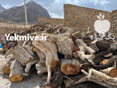 فروش چوب ذغالی توت انار بادام در نوش آباد در گروه خرید و فروش انواع چوب در یکمیوه -عکس3