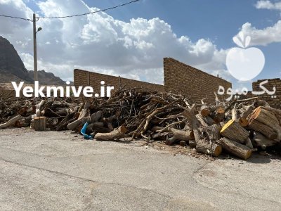 فروش چوب ذغالی توت انار بادام در نوش آباد در گروه خرید و فروش انواع چوب در یکمیوه -عکس4