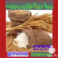 قیمت خرید سبوس برنج در کرج در گروه خرید و فروش برنج در یکمیوه