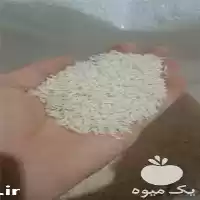 قیمت خرید برنج با قیمت ارزان در مشهد در گروه خرید و فروش برنج در یکمیوه