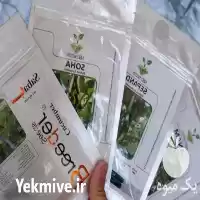 قیمت خرید بذر خیار سبا در مشهد در گروه خرید و فروش بذر خیار در یکمیوه
