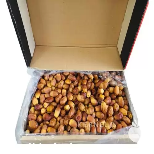 خرید و فروش خرمای عمده در بوشهر در گروه خرید و فروش خرما در یکمیوه -عکس1