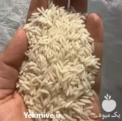 فروش برنج هاشمی در گروه خرید و فروش برنج در یکمیوه -عکس1
