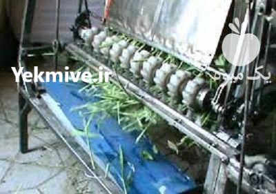 دستگاه علوفه خردکن برقی در سلطانیه در گروه خرید و فروش دستگاه علوفه در یکمیوه -عکس2