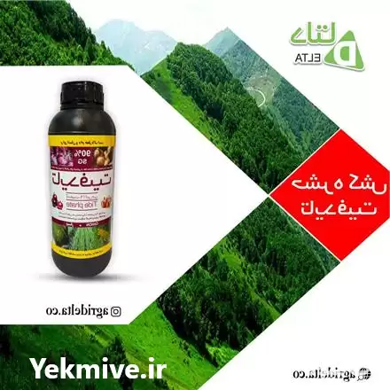 قیمت خرید حشره کش سیستمیک تایدفیت در ماهدشت در گروه خرید و فروش انواع سم در یکمیوه -عکس1