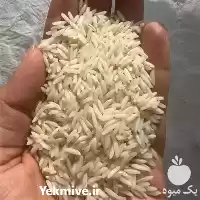 فروش برنج هاشمی در گروه خرید و فروش برنج در یکمیوه
