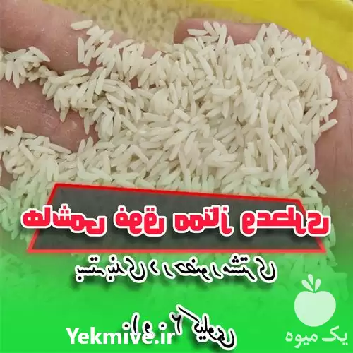 قیمت خرید برنج هاشمی ممتاز در گروه خرید و فروش برنج در یکمیوه -عکس1