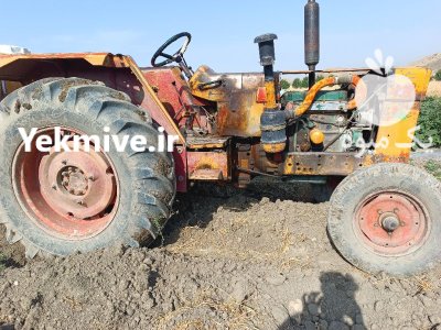 فروش تراکتور بی ام 4 سیلندر در کوهدشت در گروه خرید و فروش انواع تراکتور در یکمیوه -عکس1