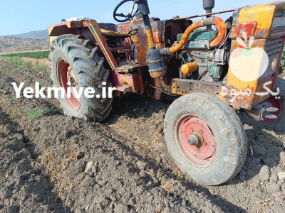 فروش تراکتور بی ام 4 سیلندر در کوهدشت در گروه خرید و فروش انواع تراکتور در یکمیوه -عکس2