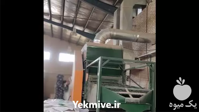 صادرات خرید تخم گشنیز تخم آفتابگردان در تهران در گروه خرید و فروش انواع تخمه در یکمیوه -عکس1