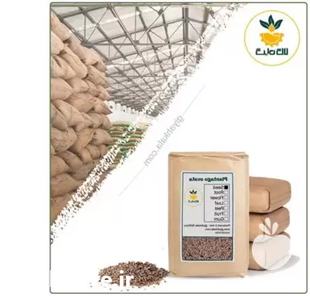 قیمت خرید بذر اسفرزه خشک فله در مشهد در گروه خرید و فروش انواع بذر در یکمیوه -عکس1