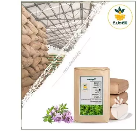 فروش گیاه آویشن کوهی خشک فله در مشهد در گروه خرید و فروش گیاهان دارویی در یکمیوه -عکس1