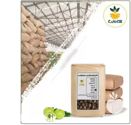 قیمت خرید میوه آمله خشک فله در مشهد در گروه خرید و فروش میوه خشک در یکمیوه -عکس1