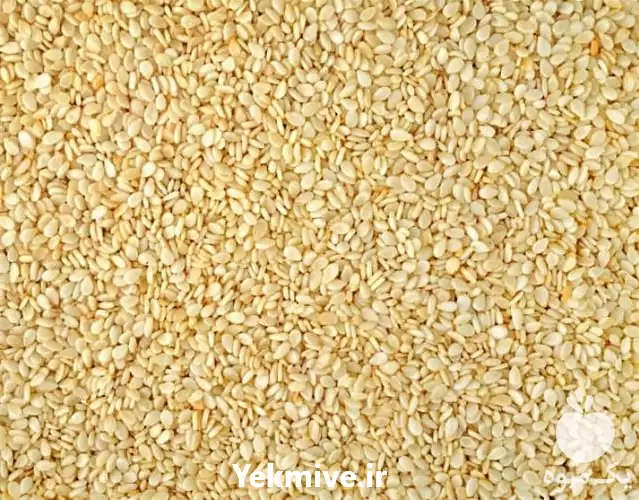 فروش دانه کنجد انواع دانه در تهران در گروه خرید و فروش دانه های روغنی در یکمیوه -عکس1