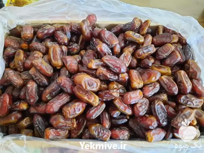 خرید و فروش خرما سایر در گروه خرید و فروش خرما در یکمیوه -عکس1