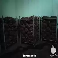 قیمت خرید پیاز قرمز در مشهد در گروه خرید و فروش پیاز در یکمیوه