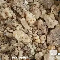 خرید عمده گیاه و شا در کرمان  در گروه خرید و فروش گیاهان زینتی در یکمیوه