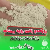 قیمت خرید برنج هاشمی ممتاز در گروه خرید و فروش برنج در یکمیوه