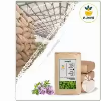 فروش گیاه آویشن کوهی خشک فله در مشهد در گروه خرید و فروش گیاهان دارویی در یکمیوه