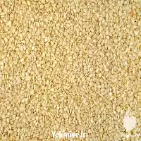 فروش دانه کنجد انواع دانه در تهران در گروه خرید و فروش دانه های روغنی در یکمیوه