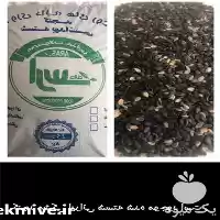 قیمت خرید انواع دانه روغنی کنجد در تهران در گروه خرید و فروش دانه های روغنی در یکمیوه