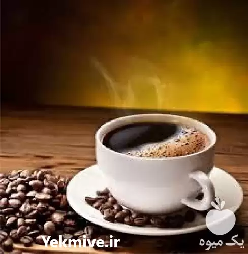 قیمت خرید عمده قارچ گانودرما در تهران در گروه خرید و فروش قارچ در یکمیوه -عکس1