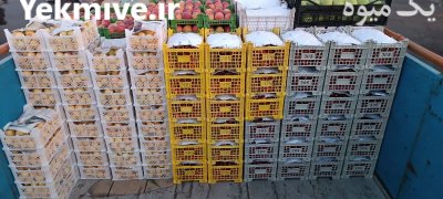 خرید فروش حق العملی زردآلو هلو در گروه حق العمل کاری محصولات کشاورزی در یکمیوه -عکس2