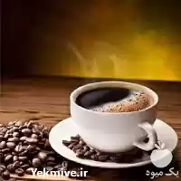 قیمت خرید عمده قارچ گانودرما در تهران در گروه خرید و فروش قارچ در یکمیوه