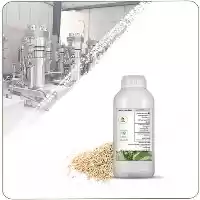 فروش روغن کنجد در مشهد در گروه خرید و فروش انواع روغن در یکمیوه