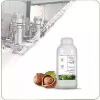 فروش روغن فندق کلد پرس در مشهد در گروه خرید و فروش انواع روغن در یکمیوه