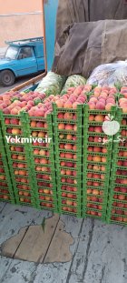 خرید فروش حق العملی زردآلو هلو در گروه حق العمل کاری محصولات کشاورزی در یکمیوه