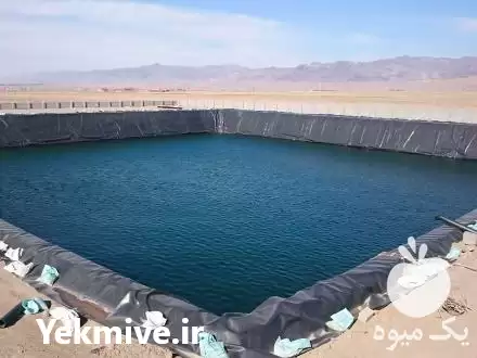 فروش و نصب ورق ژئوممبران در گروه خرید و فروش ژئوممبران و ژئوتکستایل در یکمیوه -عکس1