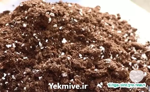 فروش خاک برگ مرغوب در شیراز در گروه انواع محصولات خاک و تغذیه در یکمیوه -عکس1