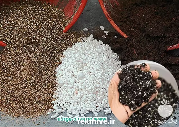 قیمت خرید خاک گلدان خاک آماده در شیراز در گروه انواع محصولات خاک و تغذیه در یکمیوه -عکس1