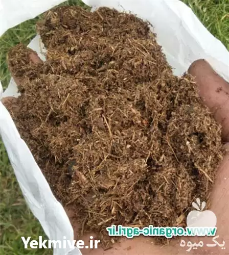 قیمت خرید تولید عرضه خاک بام در شیراز در گروه خرید و فروش گلدان در یکمیوه -عکس1