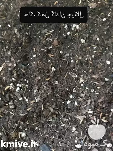 تولید و فروش خاک برگ در کرج در گروه خرید و فروش کود کمپوست در یکمیوه -عکس1