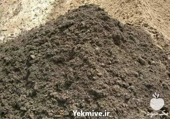 فروش خاک باغچه درجه یک مناسب در مشهد در گروه انواع محصولات خاک و تغذیه در یکمیوه -عکس1