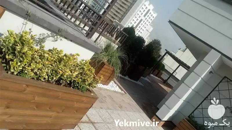 خاک روف گاردن در تهران در گروه خرید و فروش کود دامی در یکمیوه -عکس1