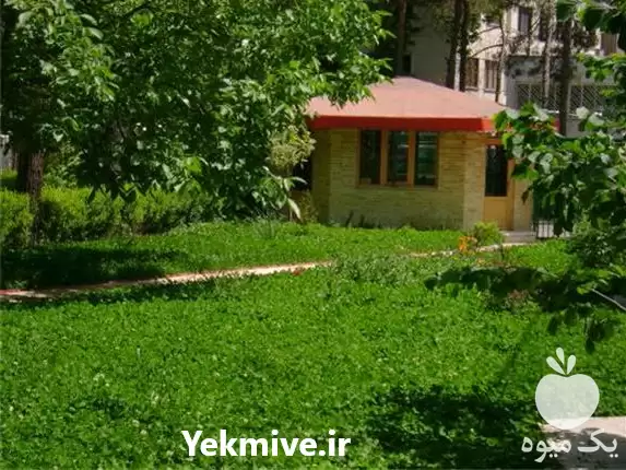 قیمت خرید خاک باغچه در تهران در گروه خرید و فروش کود دامی در یکمیوه -عکس1